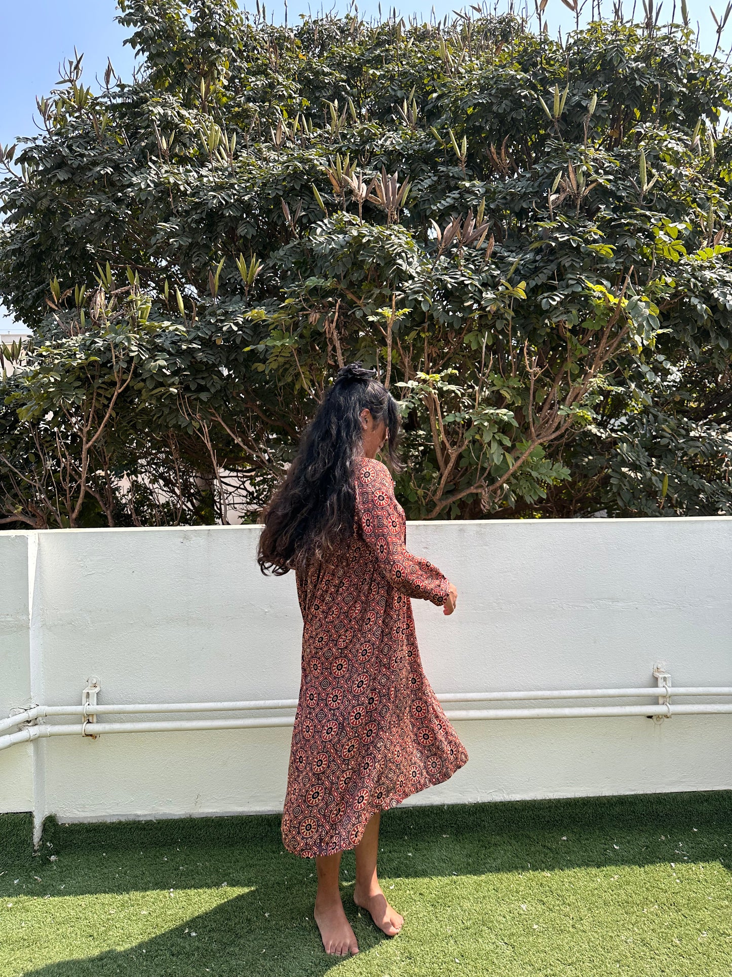 Rani dress in brown